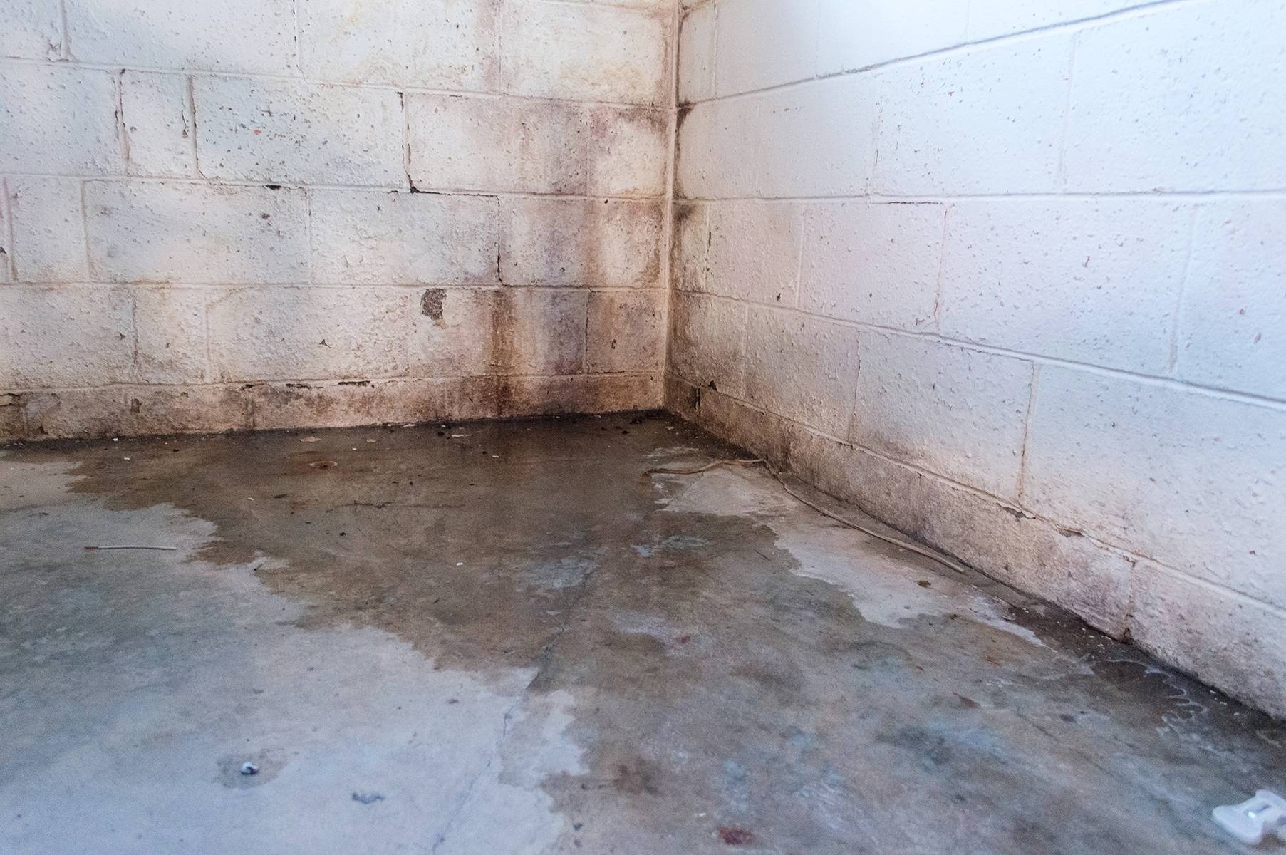 Our Waterproofing Approach for Raleigh