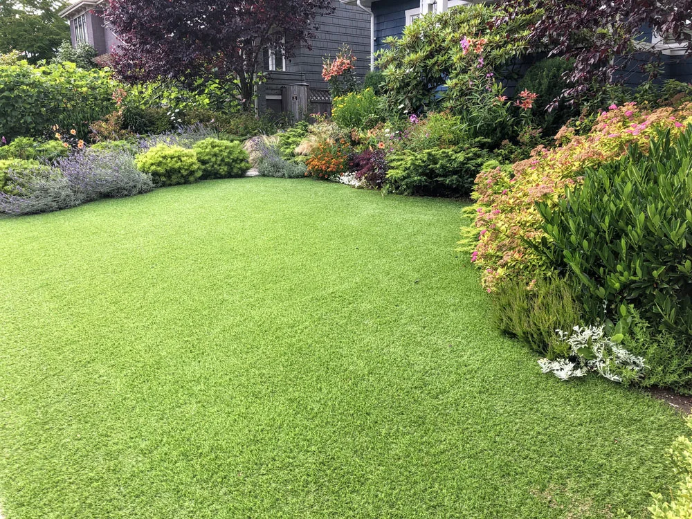 yard drainage