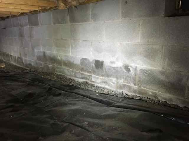 falling insulation on wet basement wall