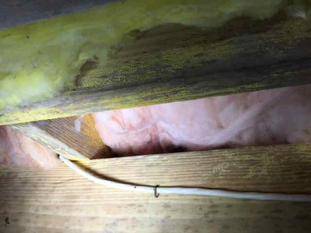 mold on insulation in crawl space