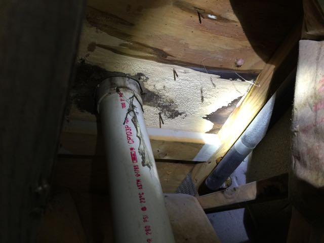 Image of mold in crawl space