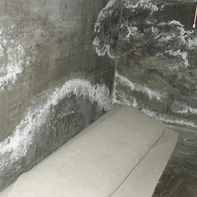 White Mold Or Efflorescence Wet Block, Cinder Block Basement Wall Mold