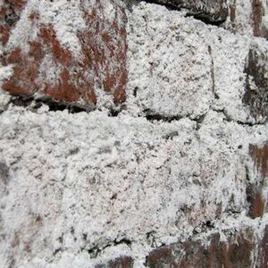 image of efflorescence on brick
