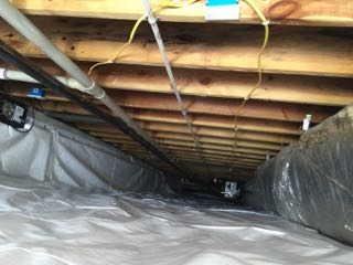 Picture of mold removal in crawl space