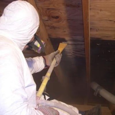 Mold Remediation & Removal — Triangle Crawl Space Solutions