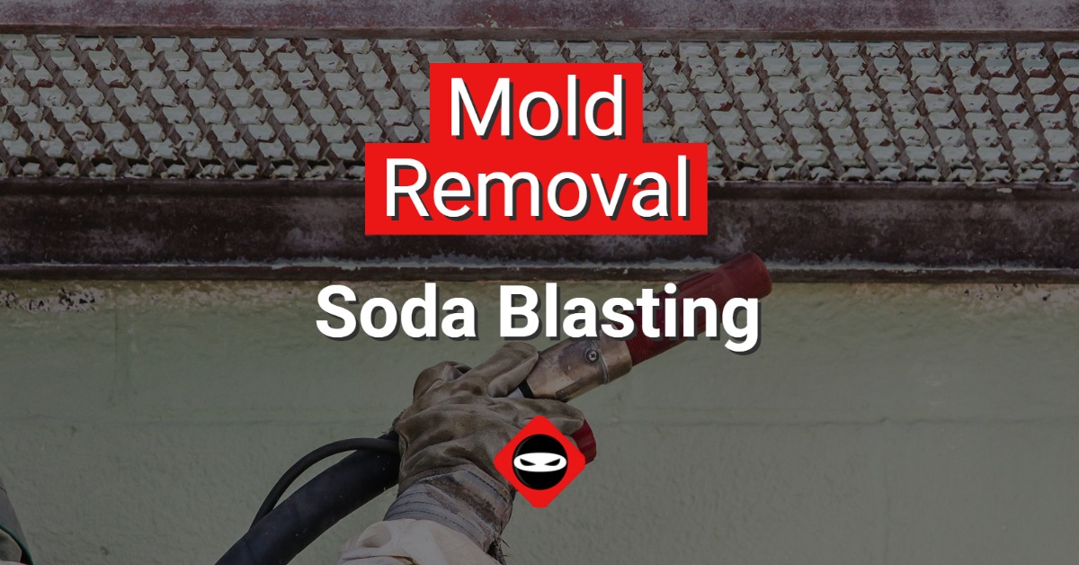 Mold Removal Soda Blasting by Crawl Space Ninja