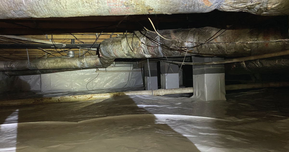 5 Problems to Fix in Your Crawl Space ASAP | Crawl Space Ninja