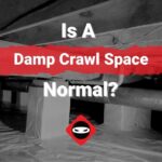 featured image-is a damp crawl space normal