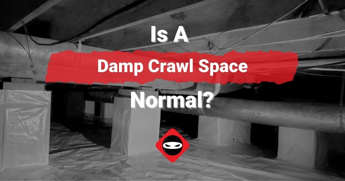 featured image-is a damp crawl space normal