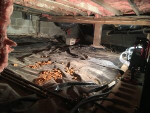 image of crawl space insulation fiberglass sub-floor