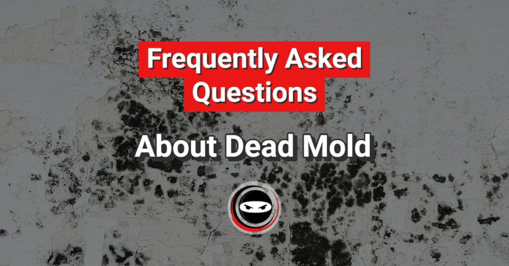 dead mold graphic