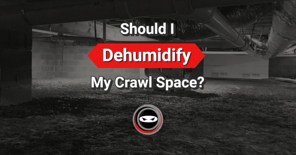 should I dehumidify my crawl space