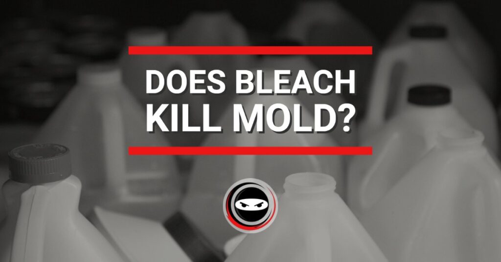 does bleach kill mold? graphic