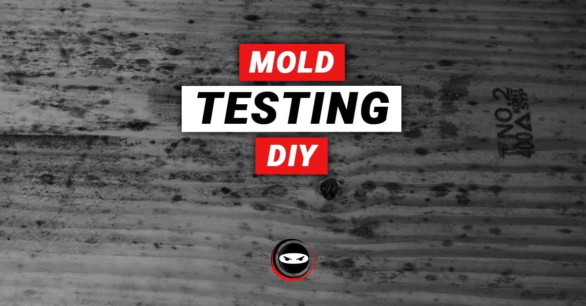 DIY Mold Test