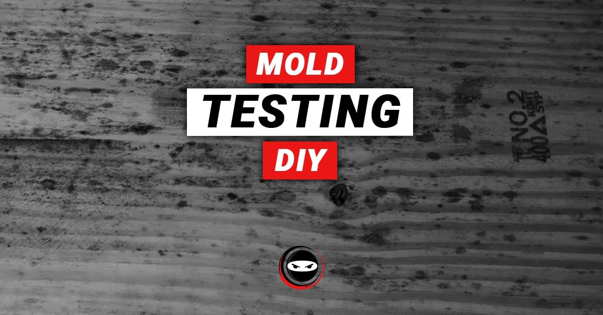 mold testing DIY graphic