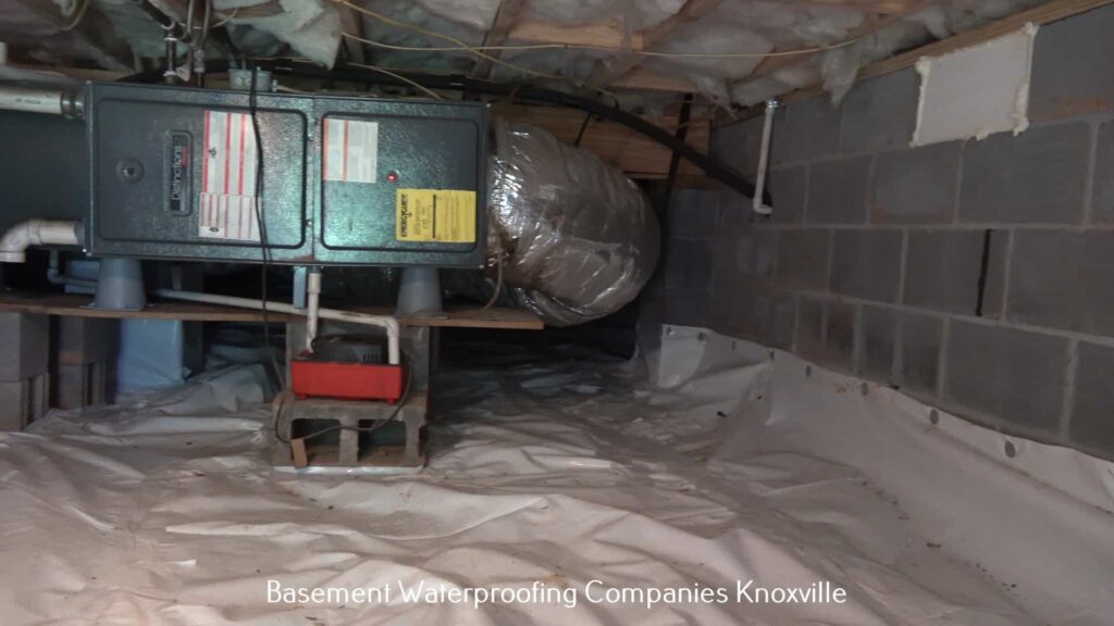 Exploring Knoxville's Cultural Gem The Knoxville Museum of Art Crawl