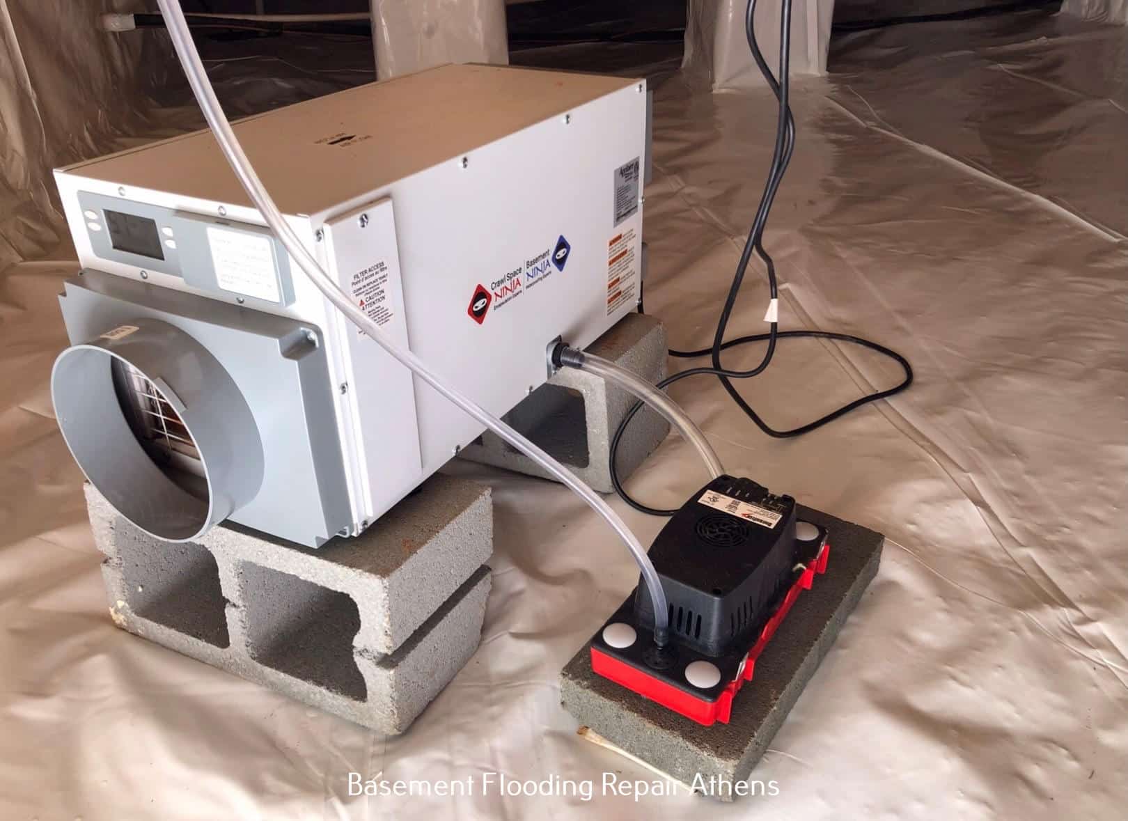 Rush Athens Trampoline Park A Bouncing Haven in Athens, Crawl Space Ninja