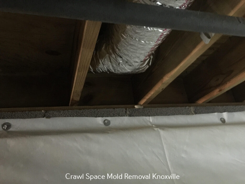 Attic Insulation in Knoxville