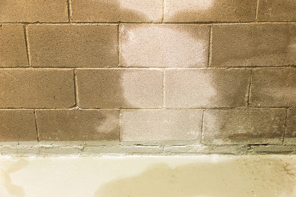 basement wall water damage