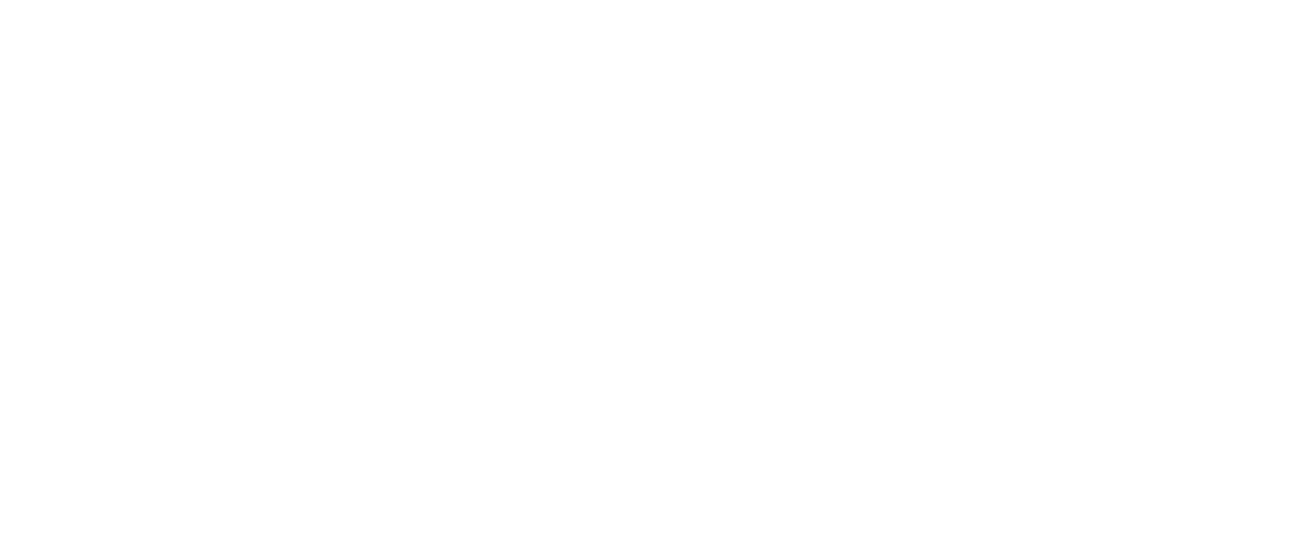 Crawl Space Ninja Logo