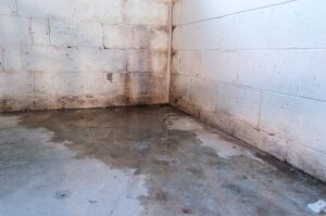 Basement Waterproofing