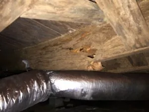 Image of crawl-space-foundation-repair