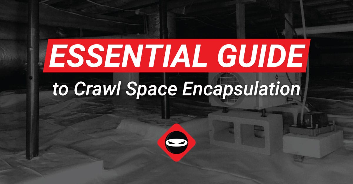Click-here-full-image_Essential-guide-to-CSE essential guide to crawl space encapsulation and crawl space vapor barrier graphic