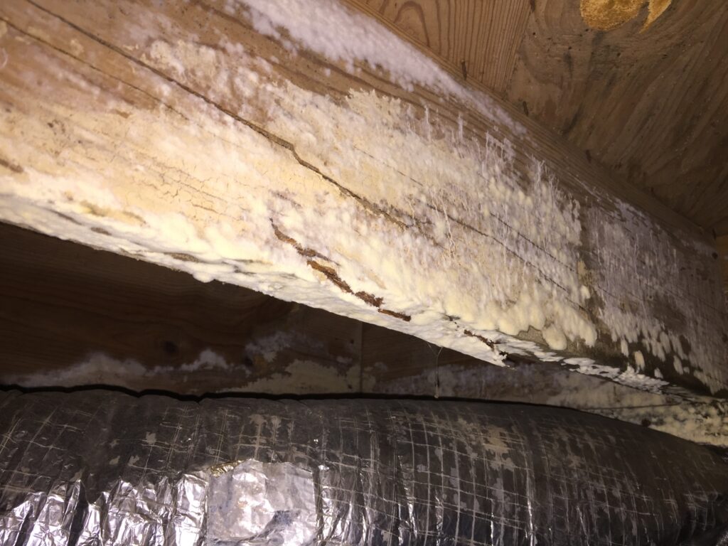 crawl space mold removal image crawl space mold removal image