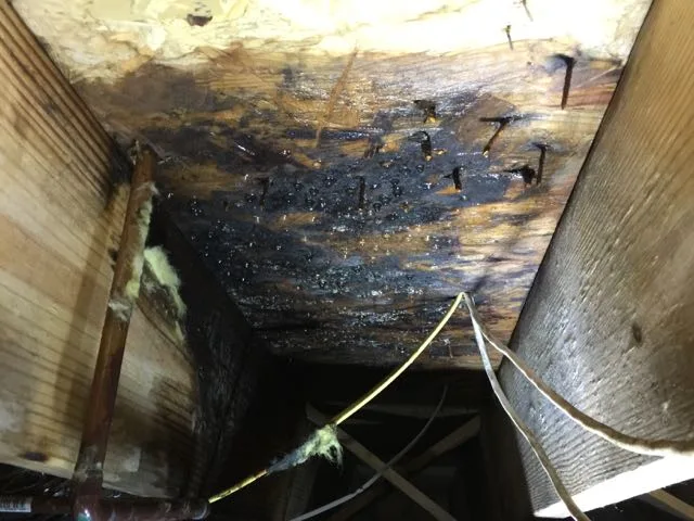 image of crawl space foundation repair - bad subfloor