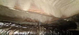 Spray foam covers mold in crawl space