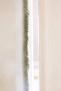 control moisture home value