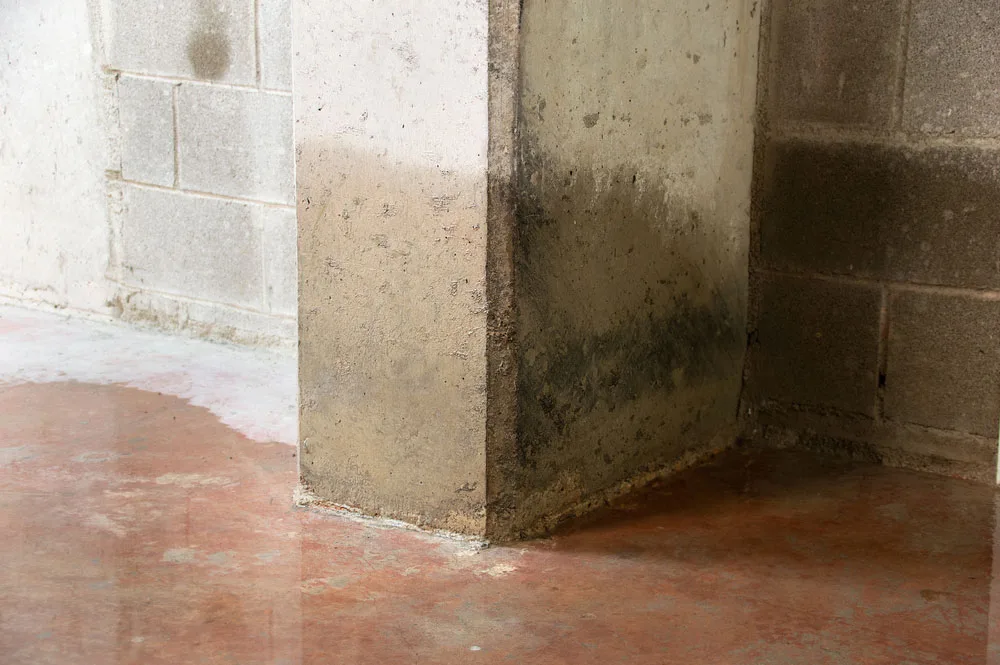 basement waterproofing