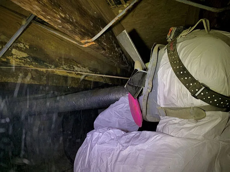 person using soda blasting for mold removal